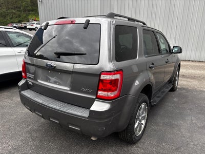 2009 Ford Escape XLT